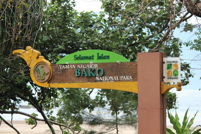 Tag 14 - Kuching / Tagesausflug Bako Nationalpark