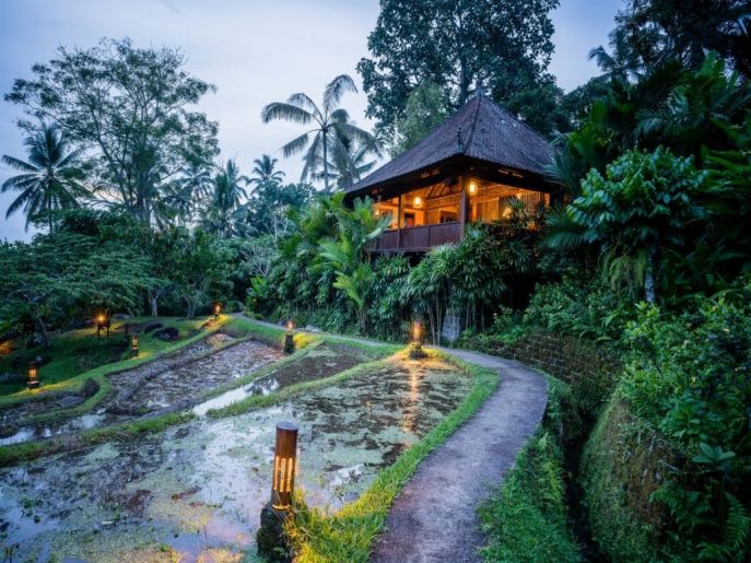 dimsum reizen eco tour bali en lombok kanciana eco resort