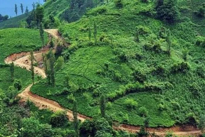 lahijan 3