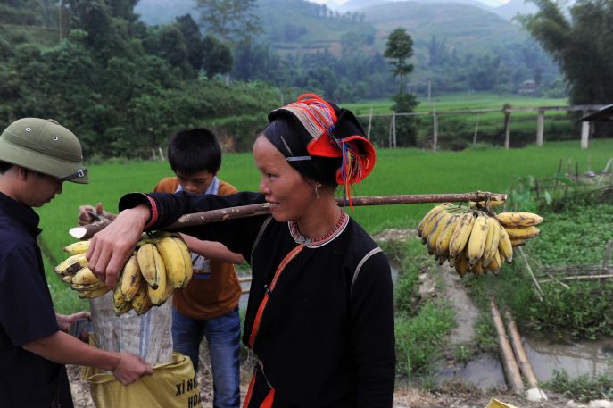 het dao volk in noord vietnam in combinatie met china rondreis dimsum reizen