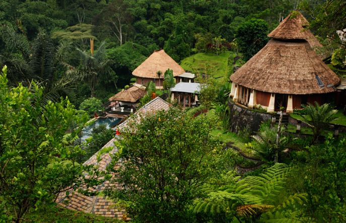 dimsum reizen naar indonesie yoga en ayurveda in tegallalang bali