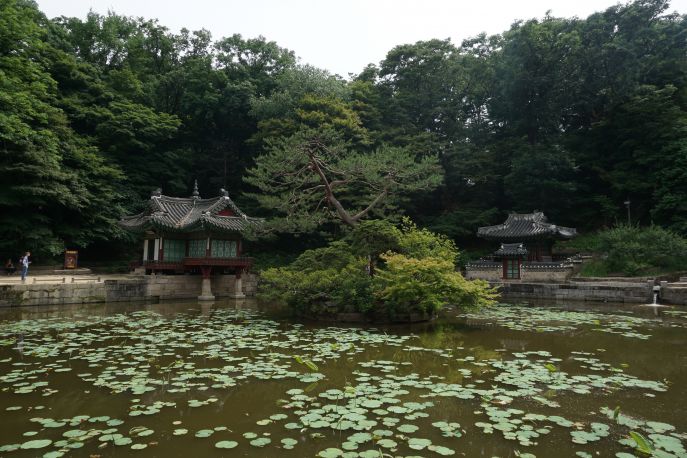 dimsum reizen naar zuid korea secret garden in seoul changdeokgung paleis