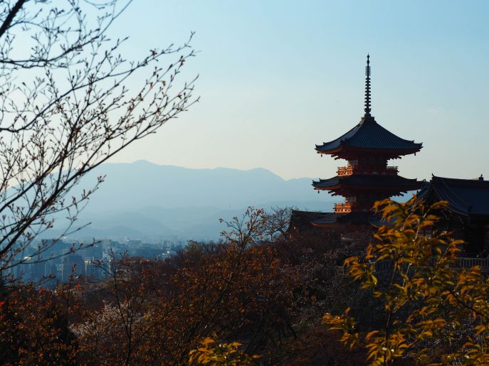 dimsum reizen naar kyoto japan in combinatie met zuid korea