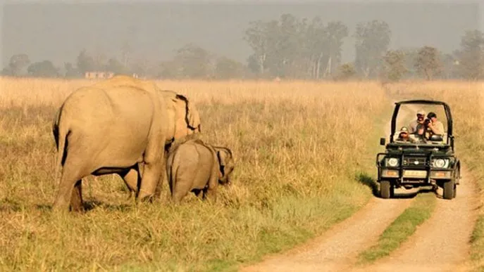9 dimsum india rondreis corbett national park