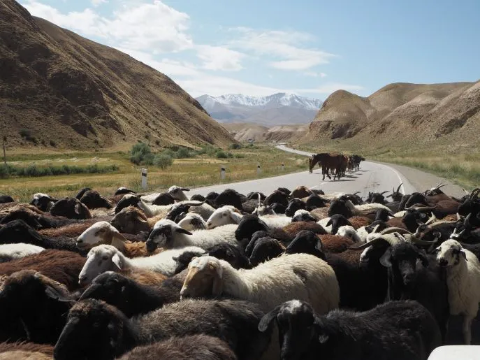 10 dimsum kirgizstan avontuurlijke rondreis