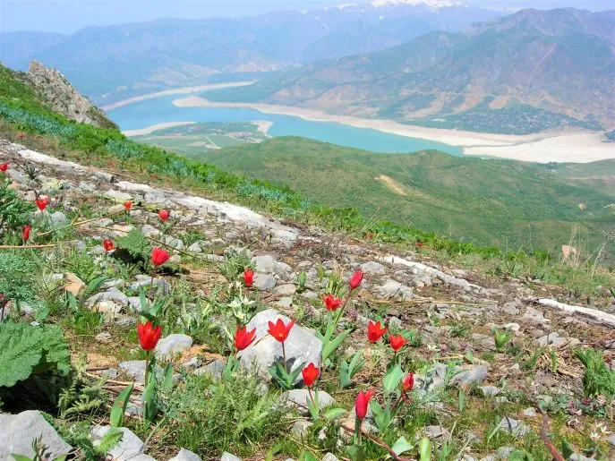 17 dimsum avontuurlijk oezbekistan rondreis view from the peak small chimghan