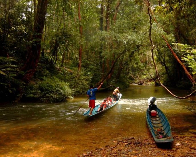 dimsum reizen naar batang ai in sarawak maleis borneo 2