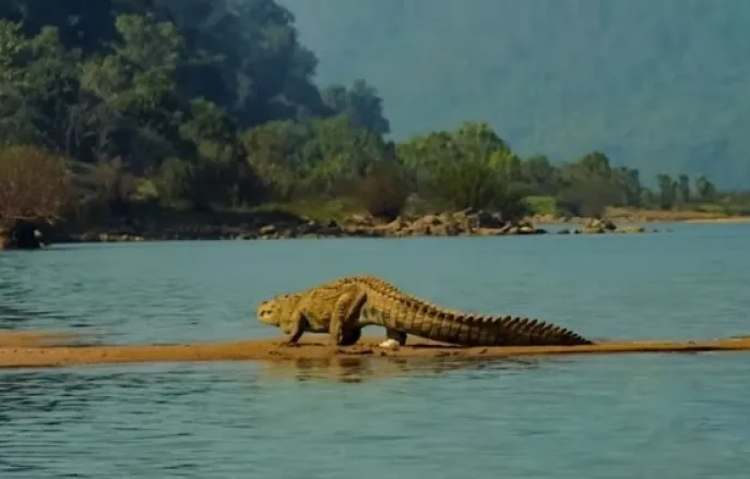 india satkoshia dimsum reizen