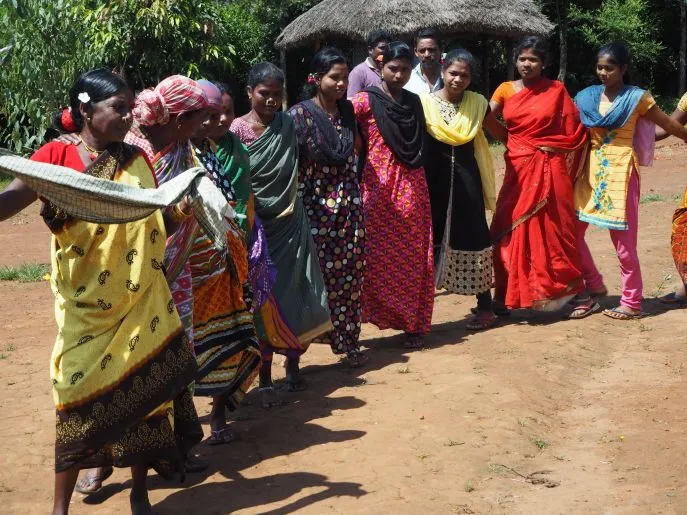 india desia dimsum reizen