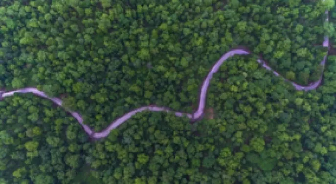 india bhoramdeo dimsum reizen