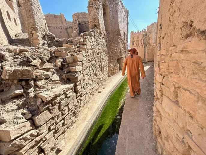 birkat al mouz oman dimsum reizen 2