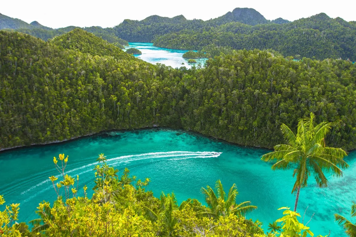 Raja Ampat zee mangrove varen boot