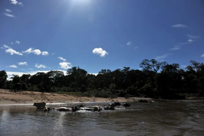dimsum reizen naar cambodja noord cambodja avontuur in provincie ratanakiri