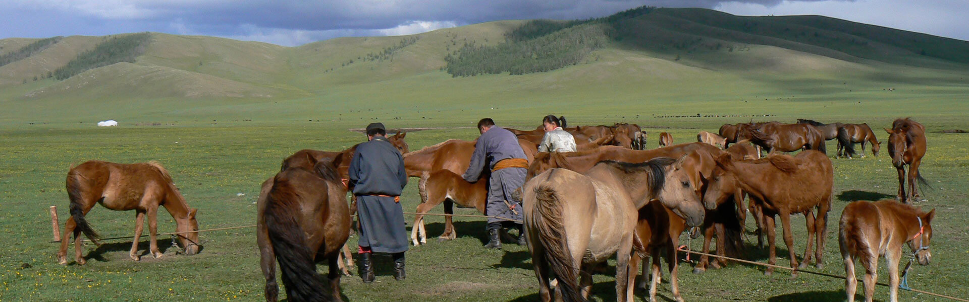 Mongolei Festival Reise
