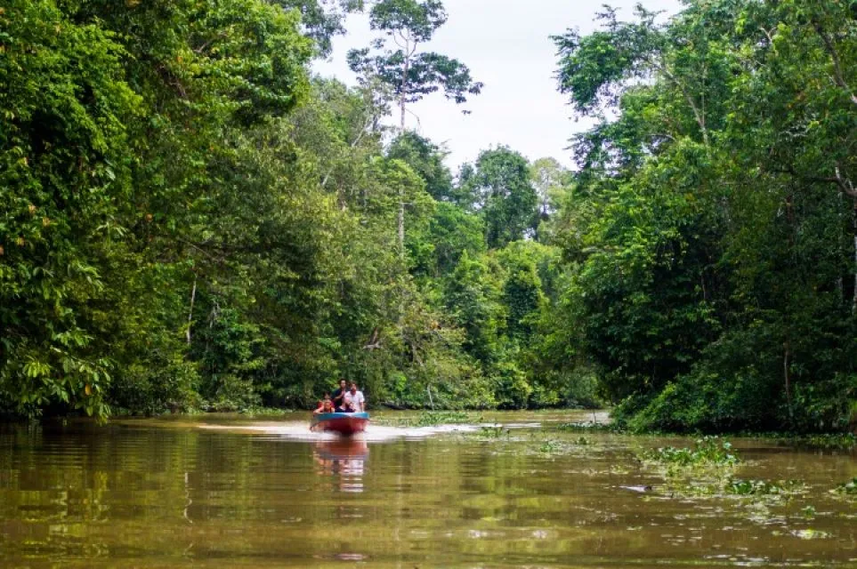 Sfeerafbeelding natuurreis borneo dimsum reizen small