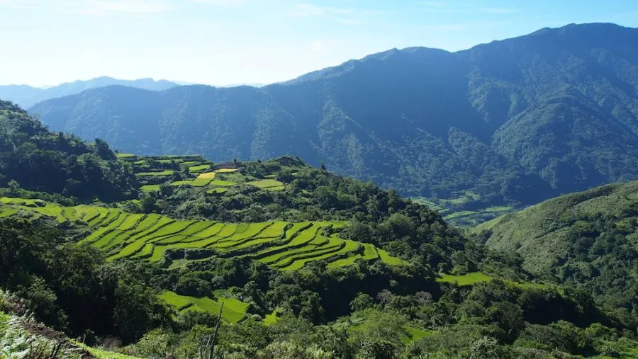 Sfeerafbeelding kalinga rice terraces