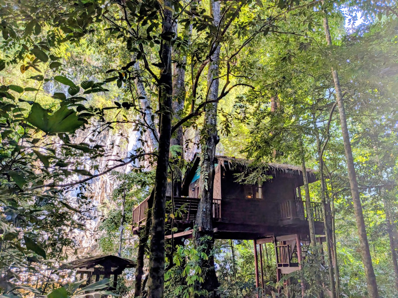 Sfeerafbeelding khao-sok-safari-thailand