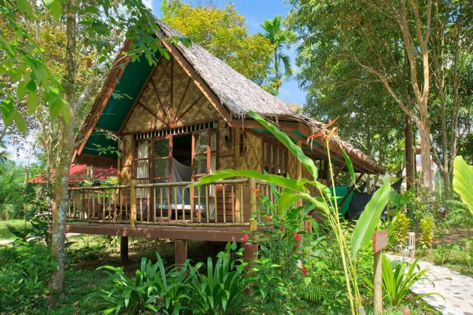 Sfeerafbeelding our jungle camp khao sok