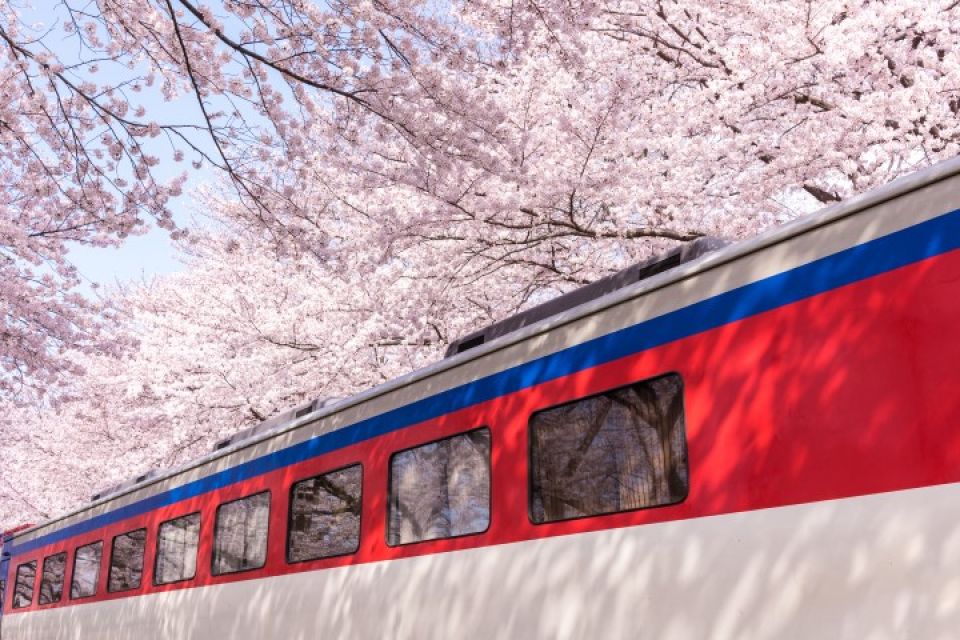 Sfeerafbeelding duurzame treinreis zuidkorea dimsum reizen small