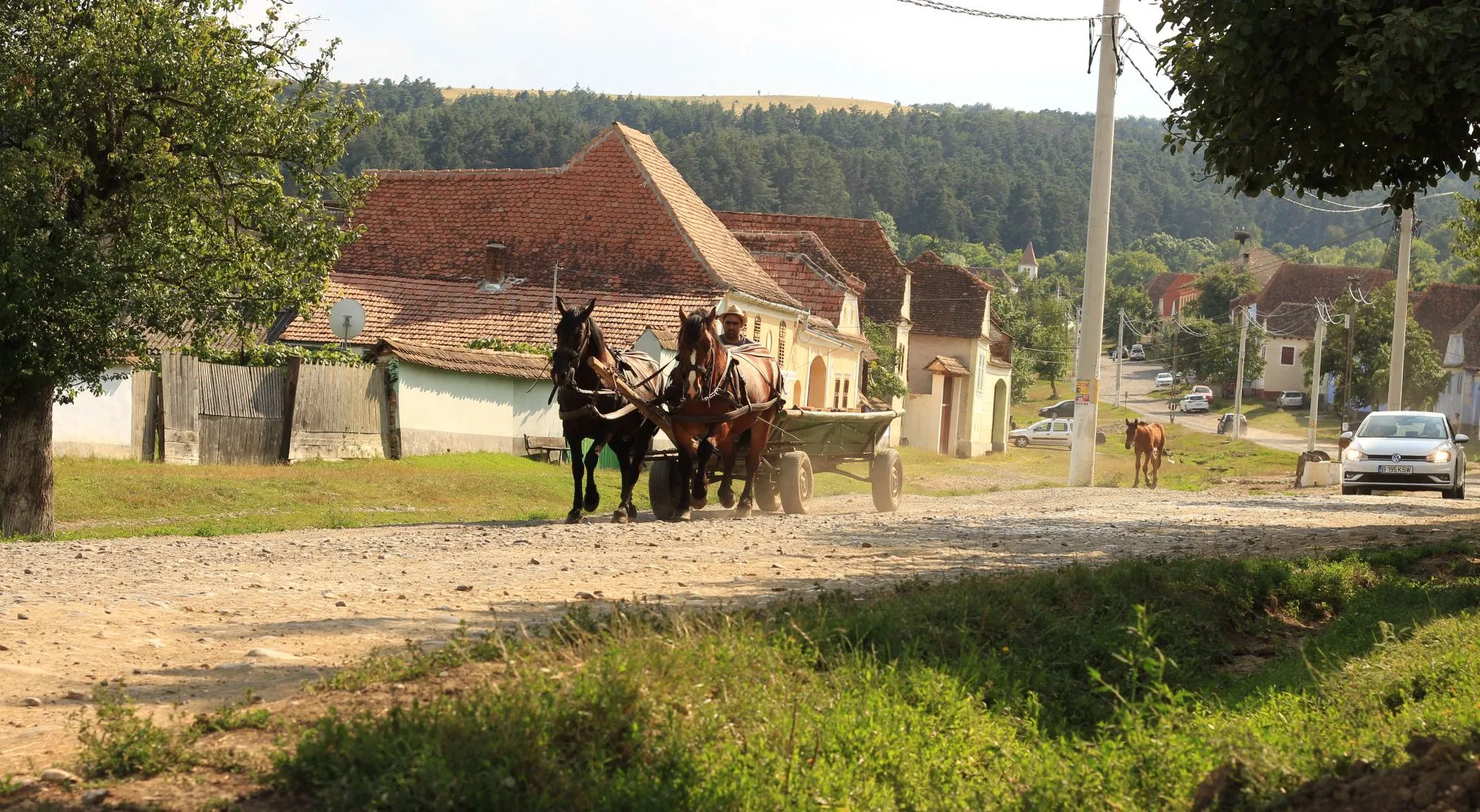 Sfeerafbeelding paard en wagen roemenie dimsum reizen