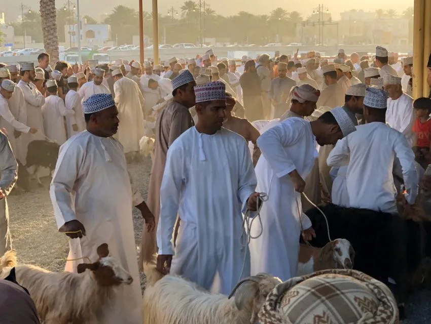 Sfeerafbeelding oman compleet reis dimsum reizen
