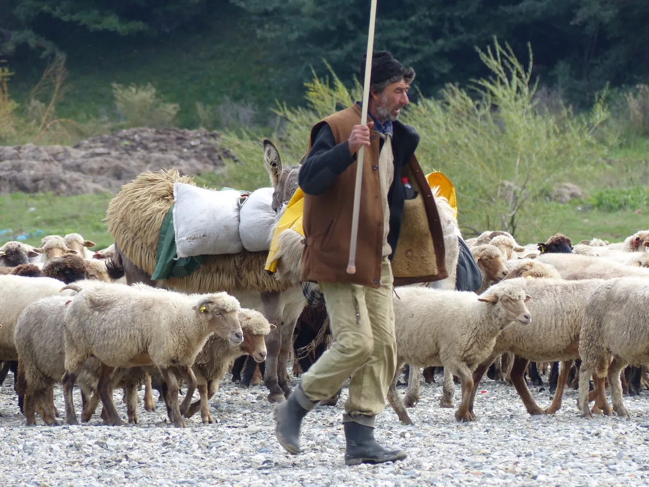 Sfeerafbeelding Roemenie Plattelandsreis