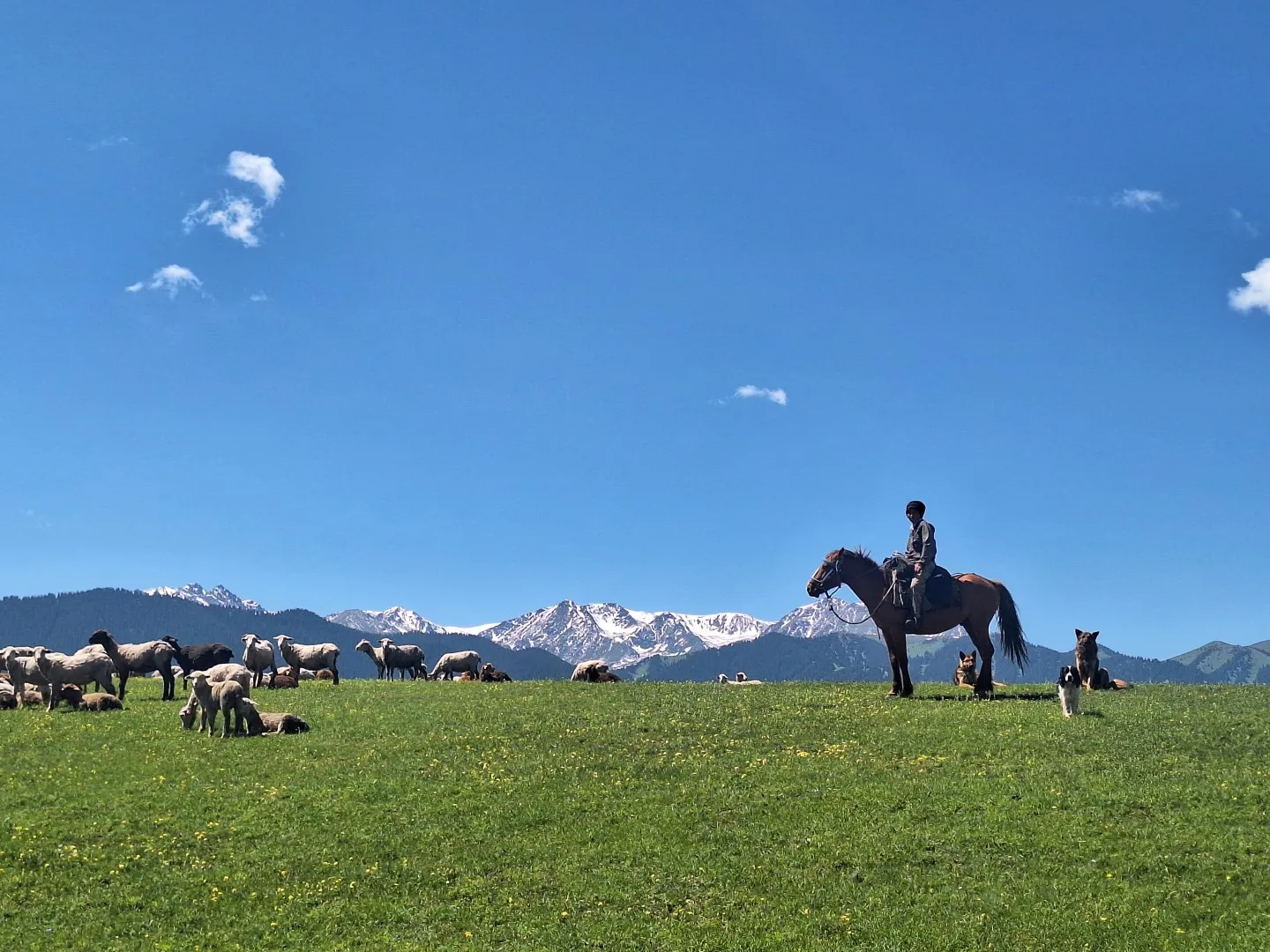 Sfeerafbeelding sued-kasachstan