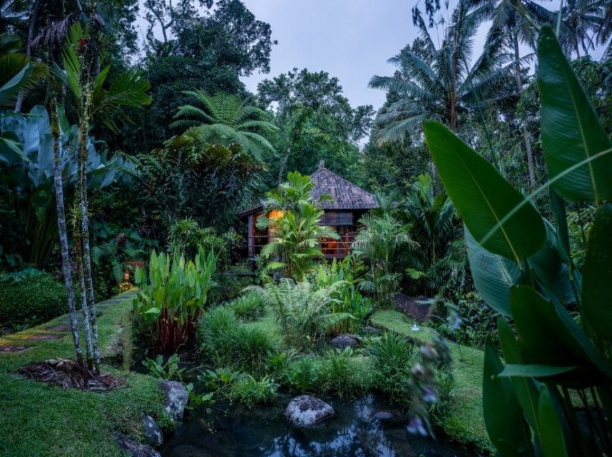 Sfeerafbeelding bali lombok eco tour  bali eco stay  dimsum reizen rondreis